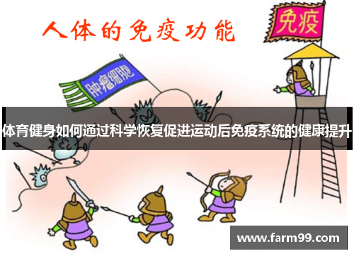 体育健身如何通过科学恢复促进运动后免疫系统的健康提升