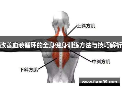 改善血液循环的全身健身训练方法与技巧解析