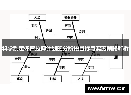 科学制定体育拉伸计划的分阶段目标与实施策略解析