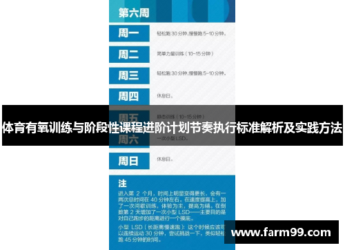 体育有氧训练与阶段性课程进阶计划节奏执行标准解析及实践方法
