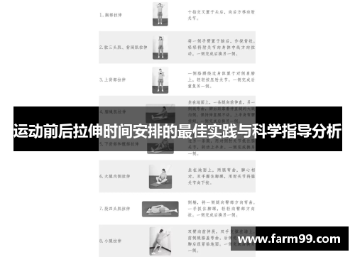 运动前后拉伸时间安排的最佳实践与科学指导分析