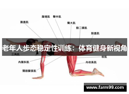 老年人步态稳定性训练：体育健身新视角
